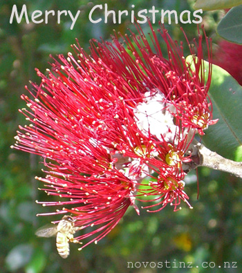 new_zealand_merry_christmas1.jpg